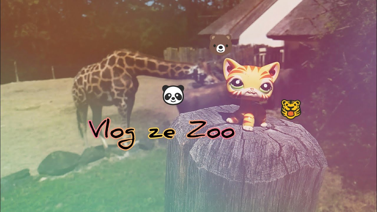 LPS - Vlog ze Zoo🐼