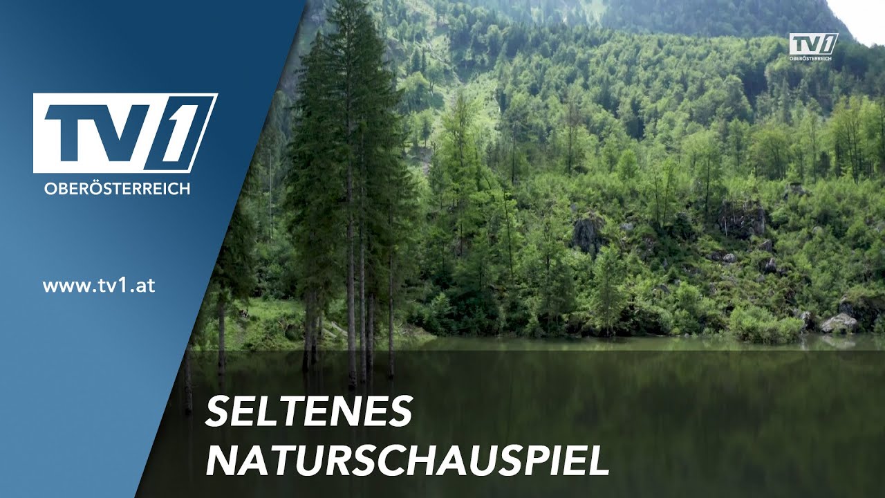 Seltenes Naturschauspiel: Der Wiesensee im Hochkogelgebiet