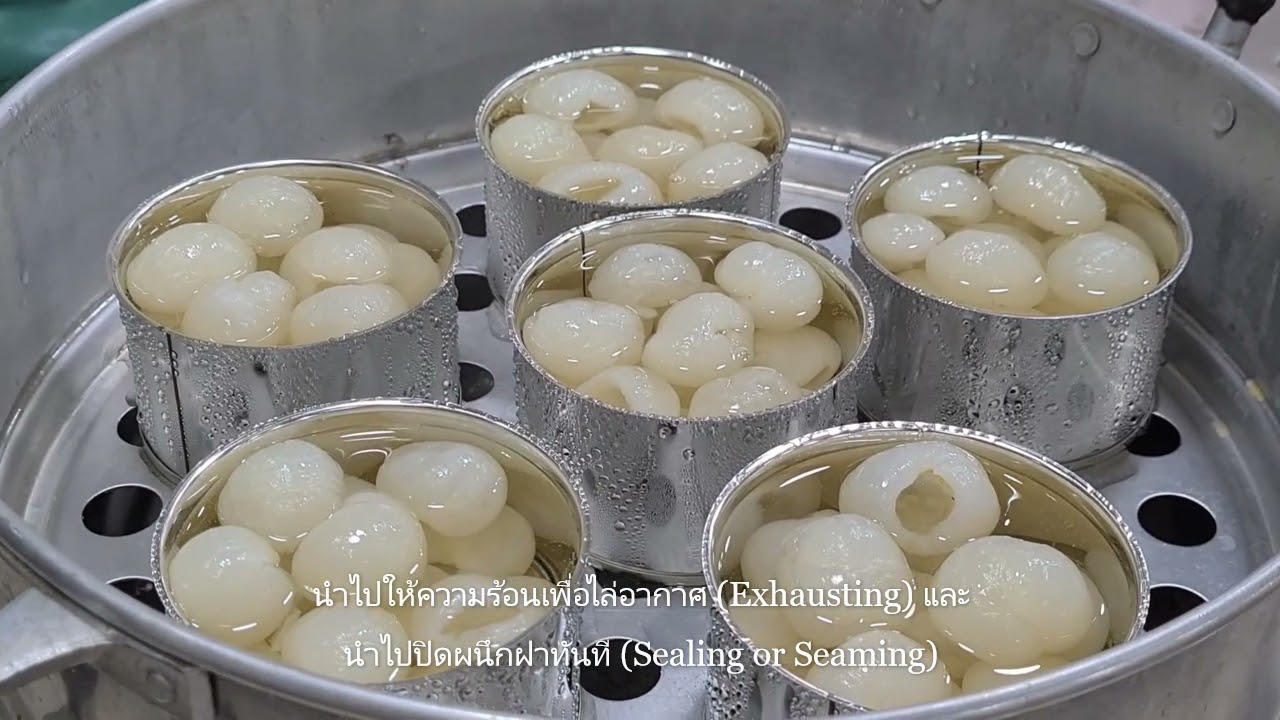 Canned Longan in Syrup