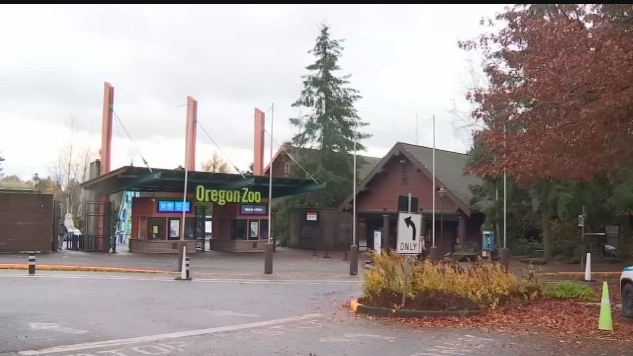 Oregon Zoo starts wine club to help financial woes