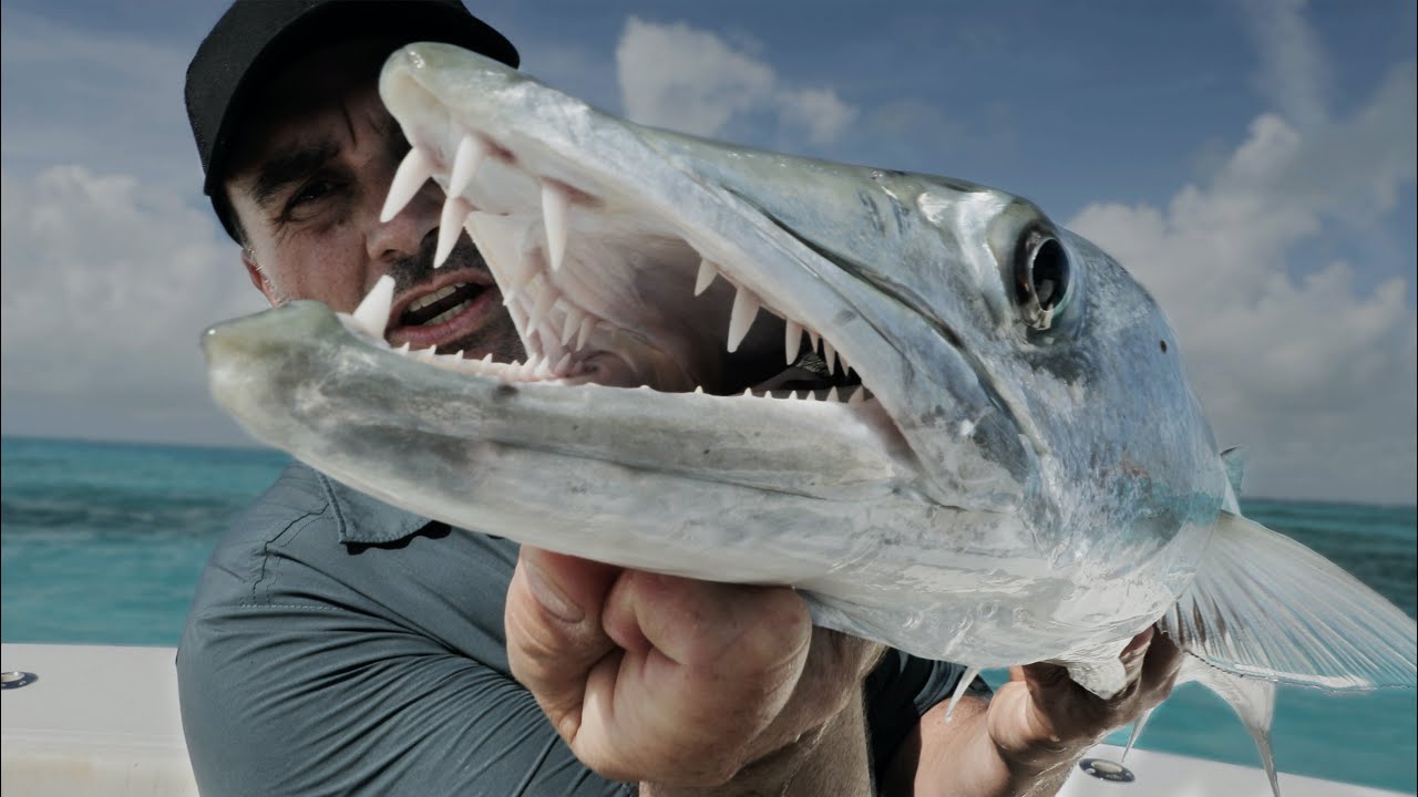 Sight Fishing Big Barracuda in Clear Water! - Chasing Monsters