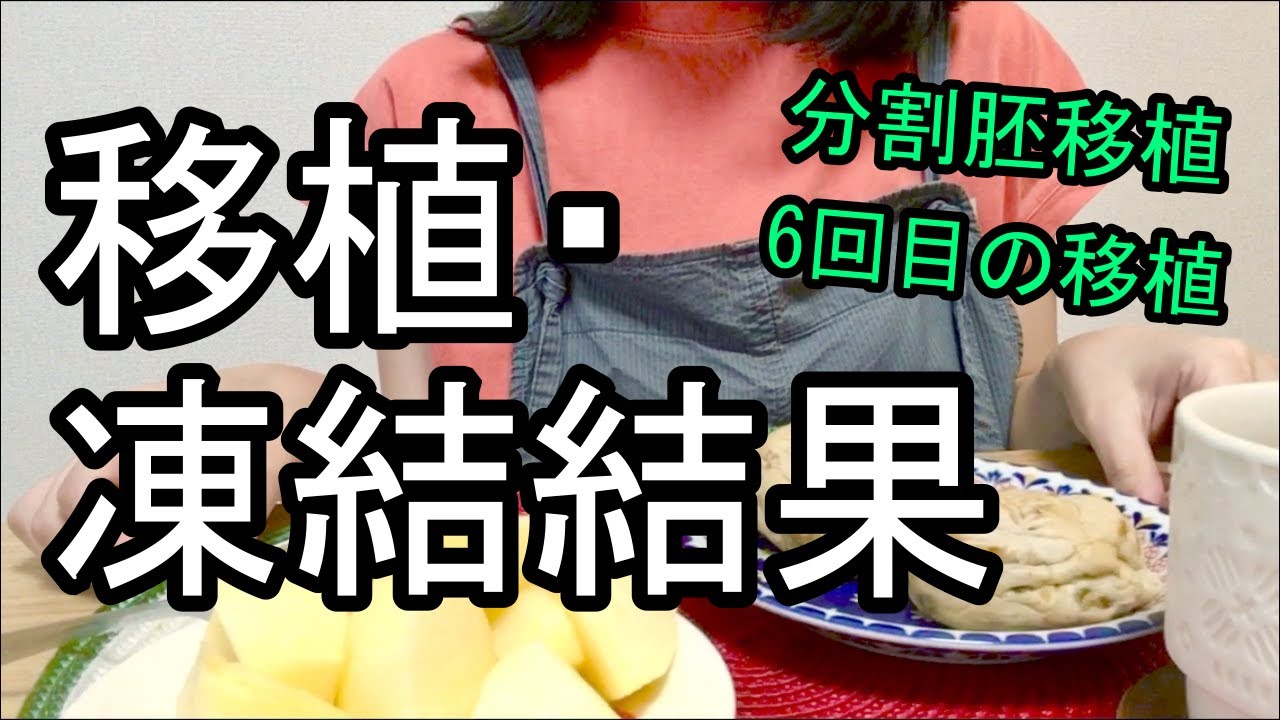【不妊治療⑮】新鮮胚移植・凍結結果について/分割胚移植になった話/卵の成長が止まった!?胚盤胞にならなかった卵/不妊治療・妊活ブログ/体外受精・顕微授精