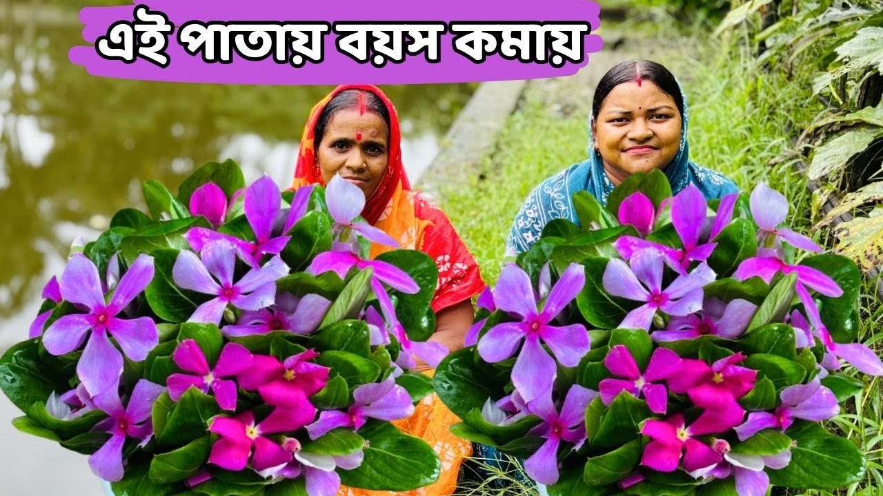 এই পাতায় বয়স বাড়তে দেবে না চুল কালো ত্বক ফর্সা হবে / Sadabahar tips