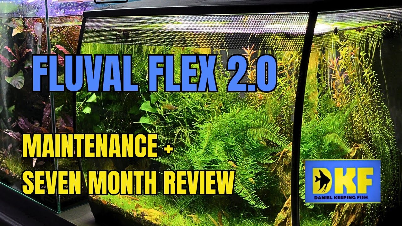 FLUVAL FLEX 2.0: ОБЗОР ЗА СЕМЬ МЕСЯЦЕВ И ОБСЛУЖИВАНИЕ
