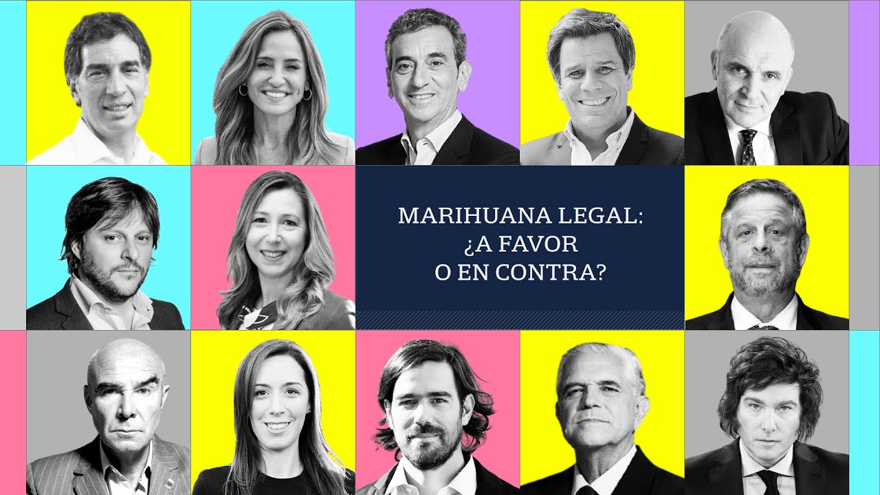 Marihuana legal: &iquest;a favor o en contra? La respuesta de los candidatos en CABA y PBA