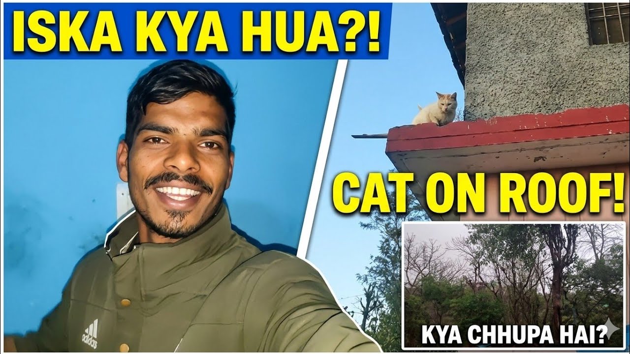 Din ke 3 baje he Raat Ho Gai OMG ya  kya ho gya 😱🌧️ Cat aur dog ki ladai 🤯