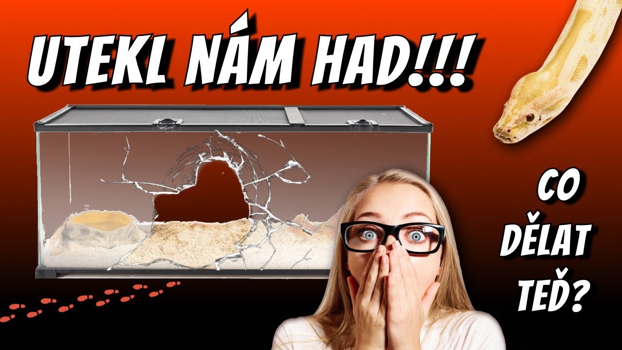 Had utekl? Žádný problém! Tipy a triky pro jeho nalezení