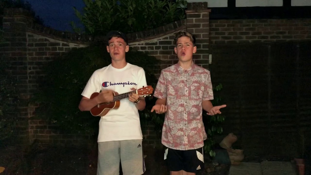 AJR Ukulele Mash-Up || Max & Harvey