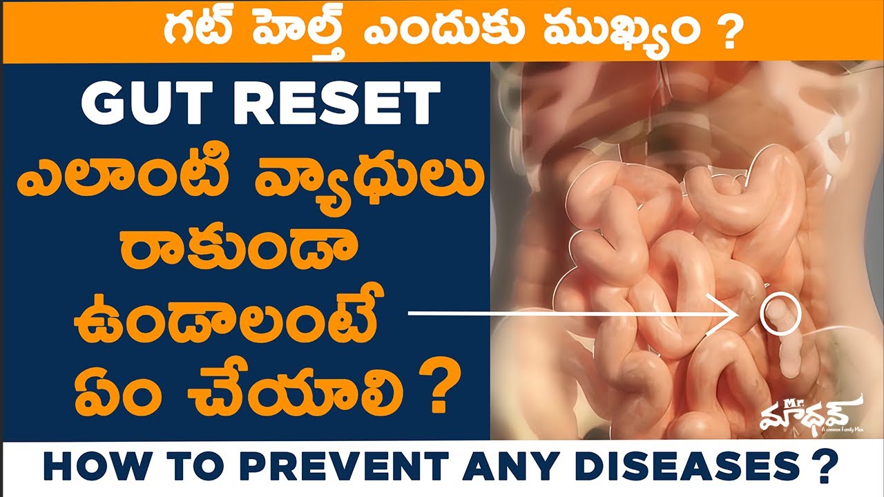 GUT RESET | HOW GUT EFFECT OUR HEALTH | Real Science Nutrition Facts