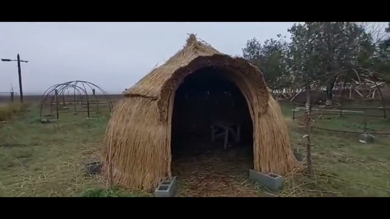 Ce cort să mai facem? îmbrăcat în stuf, sau în nuiele împletite?
