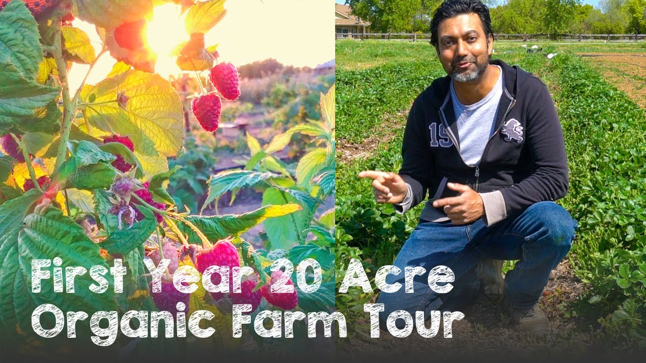First Year 20 Acre Organic Farm Tour