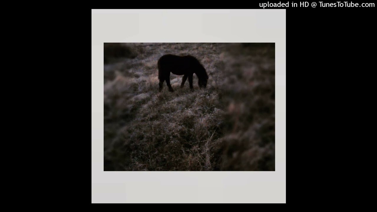 Niskogradba - Memories (2017, EP)