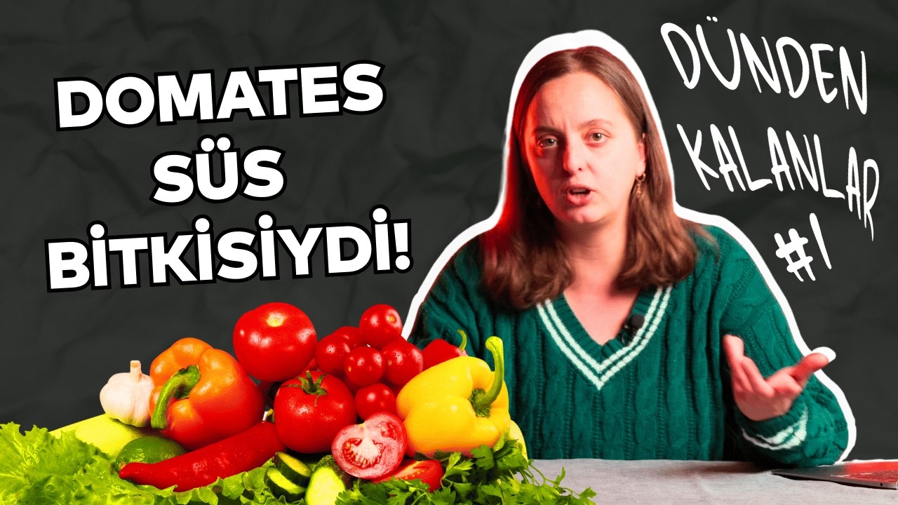 Domates, Biber, Patlıcan... / Dünden Kalanlar 01