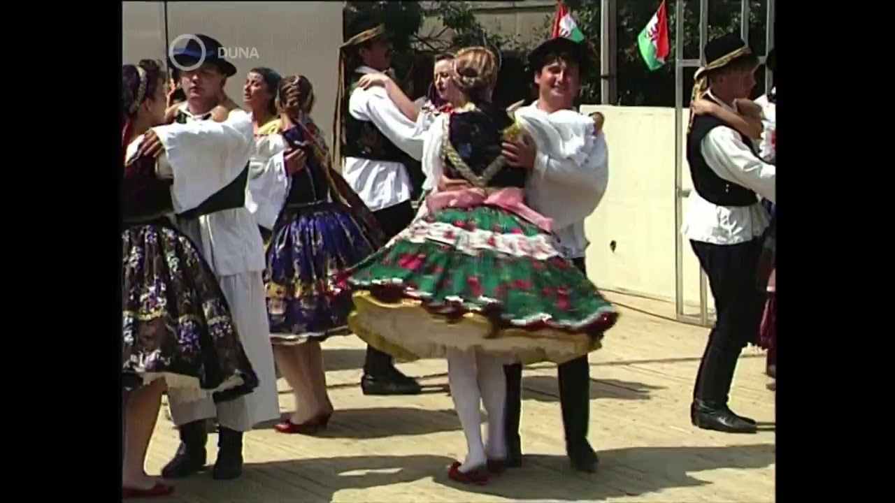 Csanádi karikázó - 1993