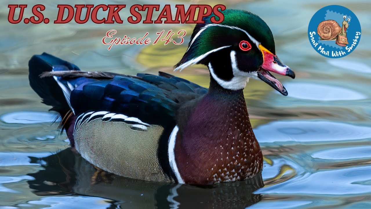 U.S. Duck Stamps Episode 143