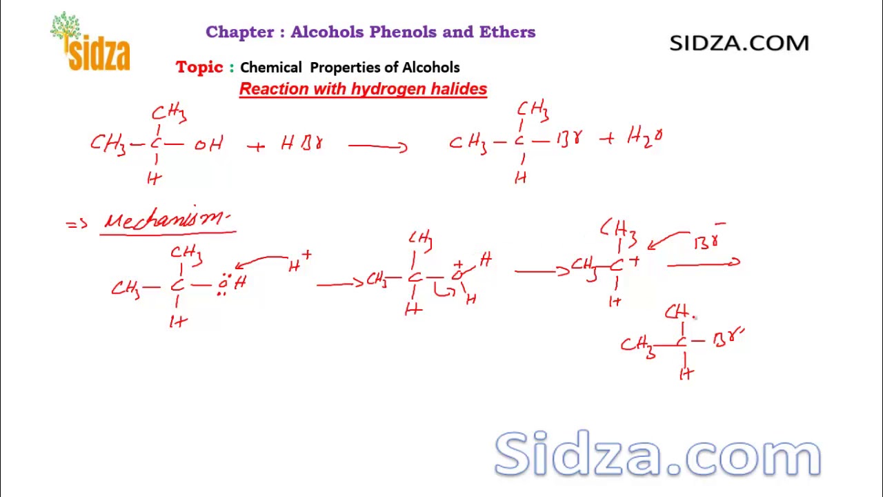 Reaction of Alcohols with Halogen acids: class 12