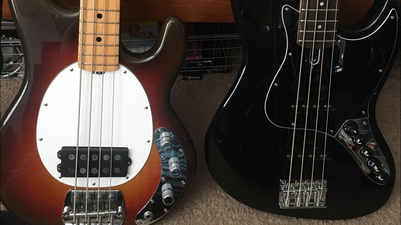 Jazz bass vs Stingray
