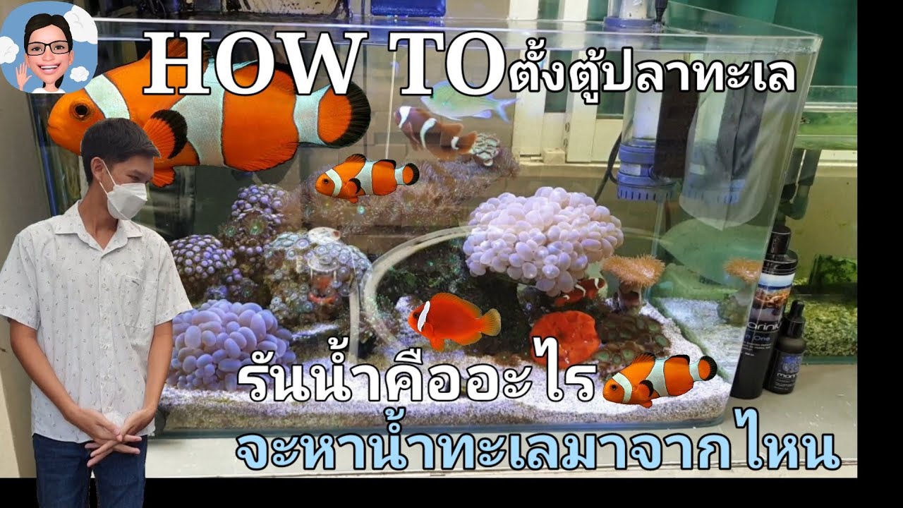 ตั้งตู้ปลาการ์ตูน น้ำทะเลมาจากไหน รันน้ำทำอย่างไร byป้าตุ้ยยูทูป