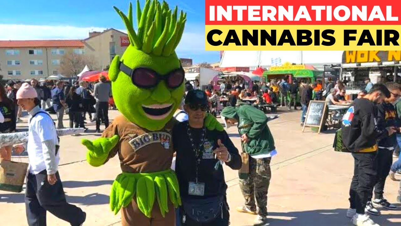 World's most significant international cannabis fair Spannabis kicks off in Barcelona