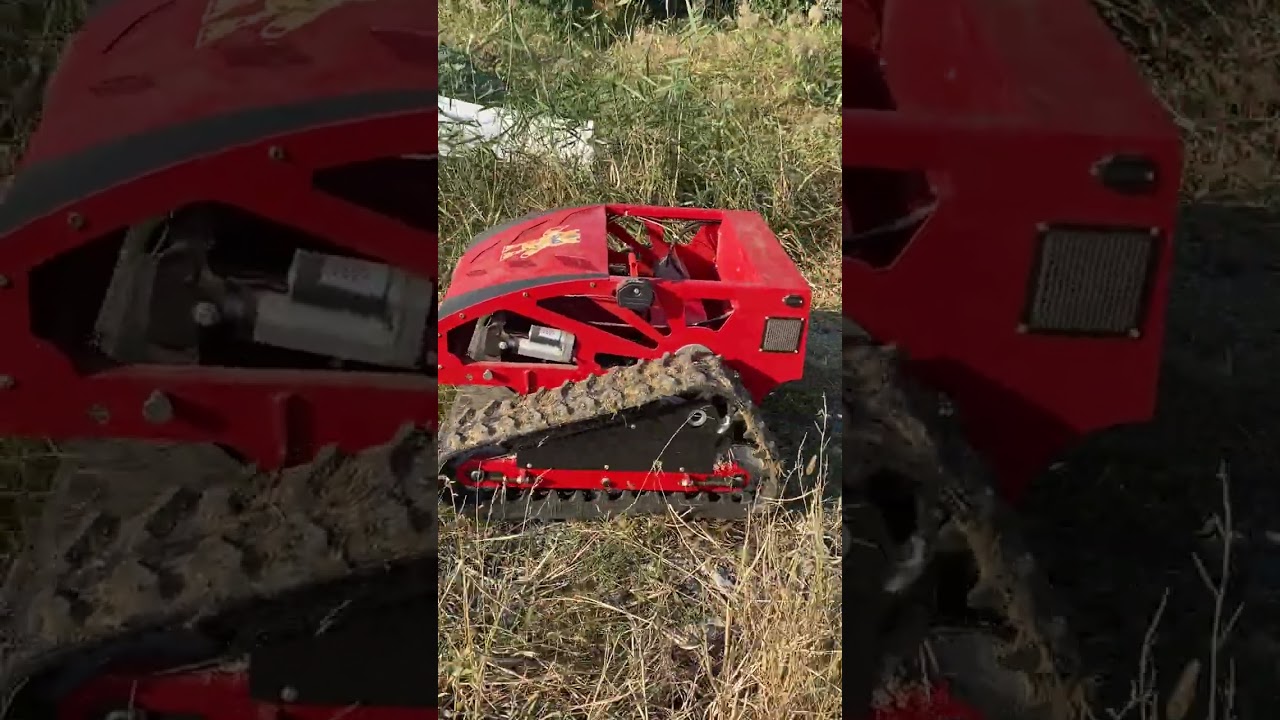 Ferngesteuerte Mähraupe Ferrari RC 53 beim Mähen von Hochgras und Gestrüpp