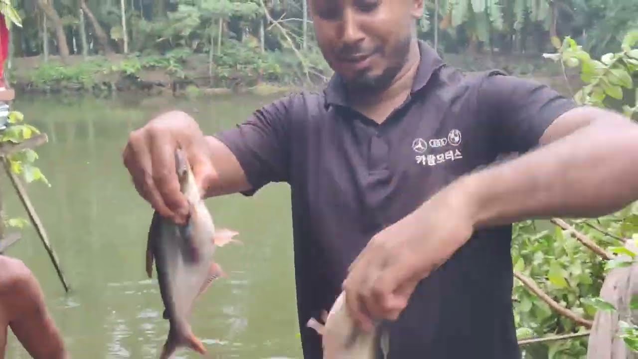 ৯ দিনে মাছ ৫টা = ১ কেজি! আর ২২ দিনে মুরগি ১৩০০ গ্রাম! পুকুরের উপর মুরগি পালন | Double লাভ সিস্টেম