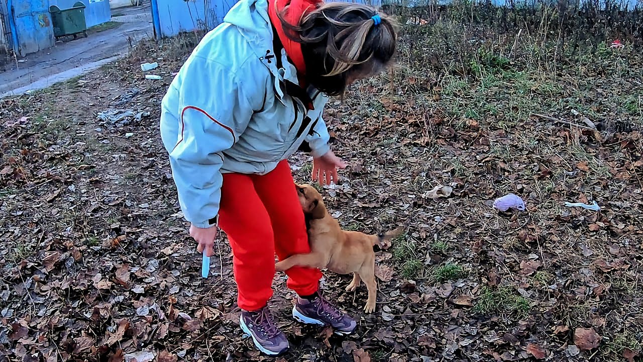 Little Homeless Puppy Grabbed my Legs, and didn’t Allow me to Leave… my hear is broken