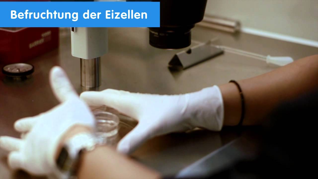 IVI, in vitro befruchtung: In vitro befruchtung IVF - Kinderwunschbehandlung (EU, 2014)