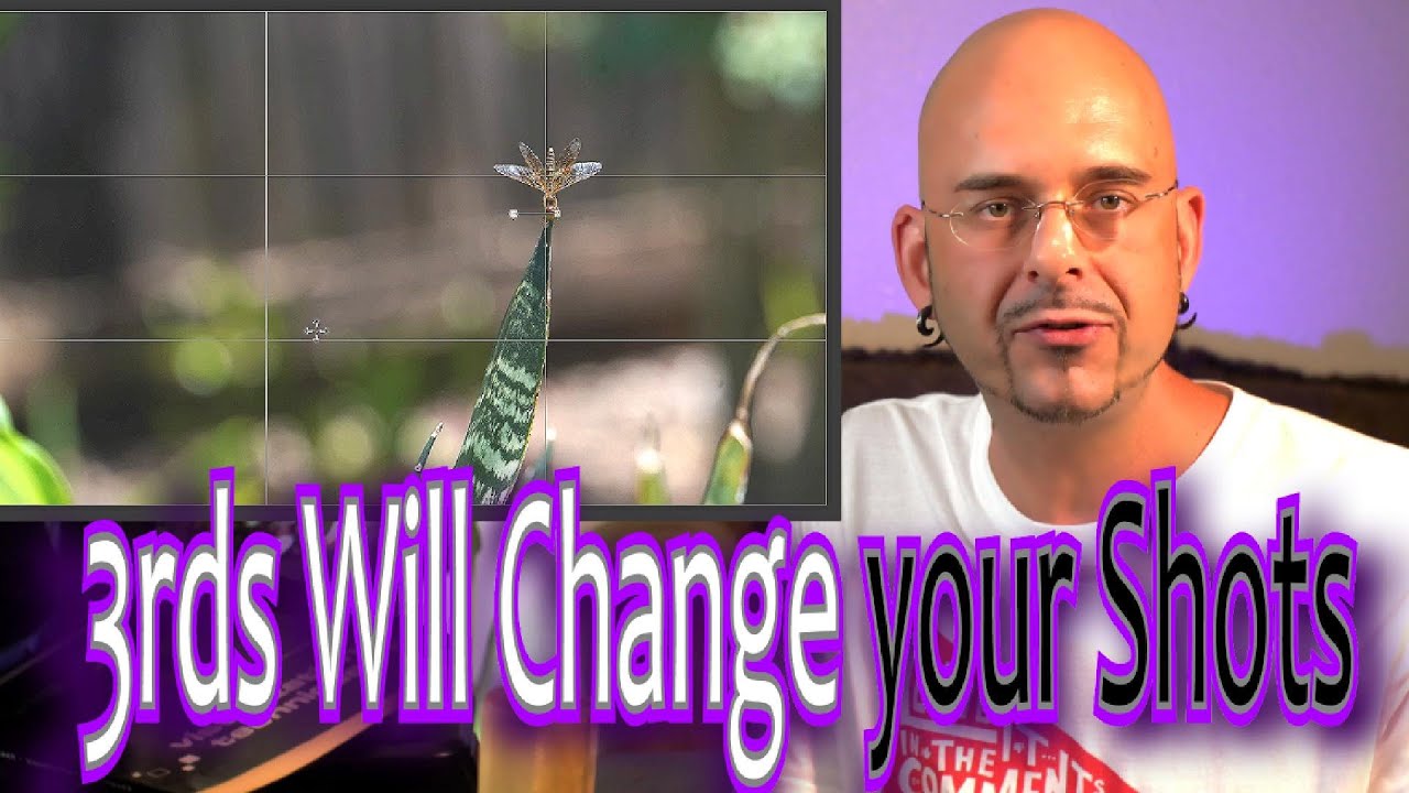 Use 3rds & Grids to Compose Photos - Entry Level Crash Course - Corel Paint Shop Pro #squidshot