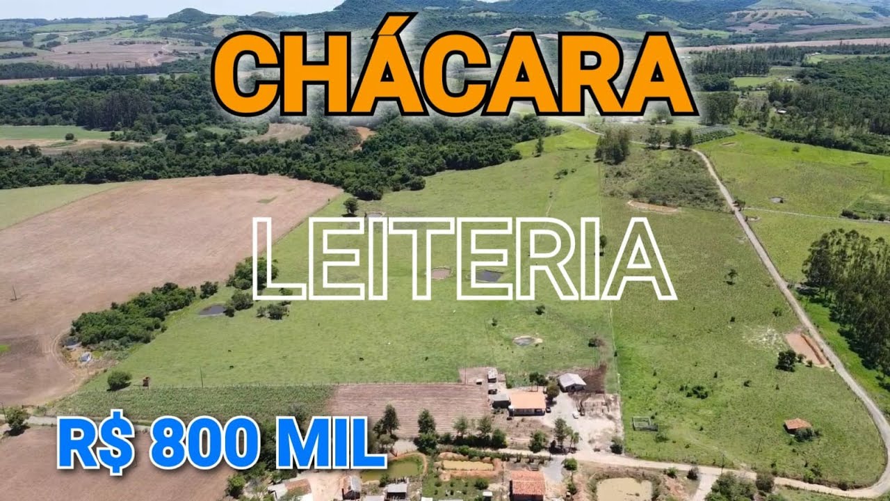 VENDE-SE CHÁCARA COM LEITERIA COMPLETA + VACAS + BEZERROS + TOURO - R$ 800 MIL (C216)