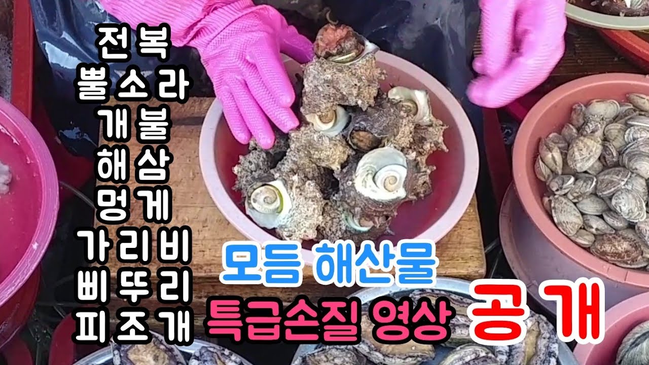 달인의 8가지 모듬해산물 특급 손질영상!!