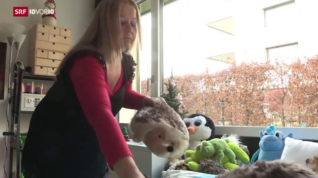 Zwei Seiten der Wahrheit – die Kesb in der Kritik (07.12.2015 10vor10)