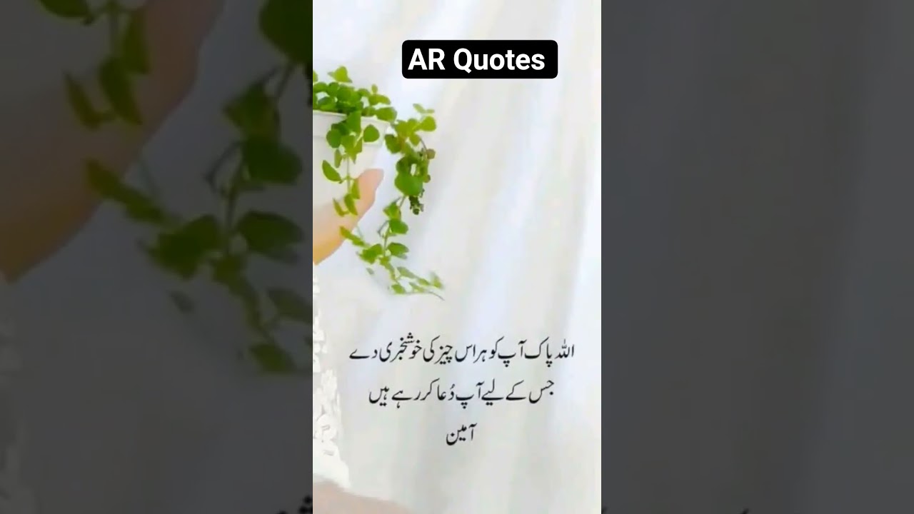 #allahsemango #allahsedua #duakoquboolyat#allahparyaqeen #allahseumeed#shortsfeeds #kunfayakun #yt