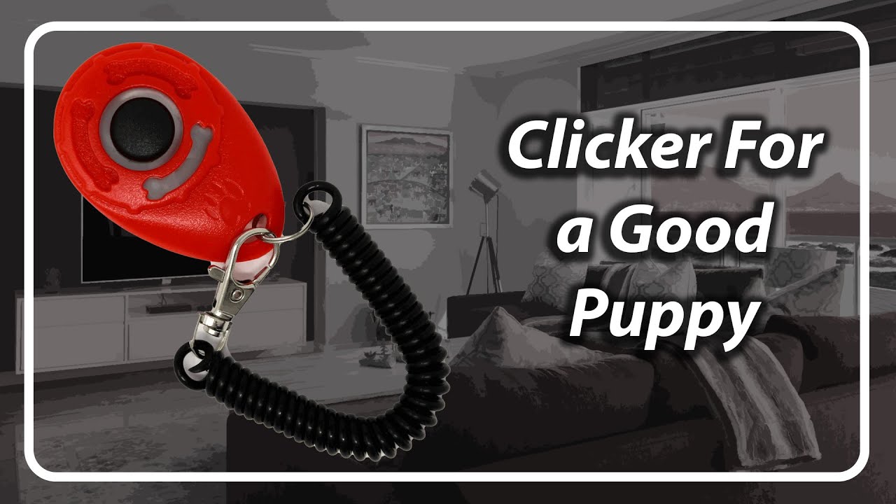 Flawless Fae Calls You A Good Puppy [F4A] [TF4A]
