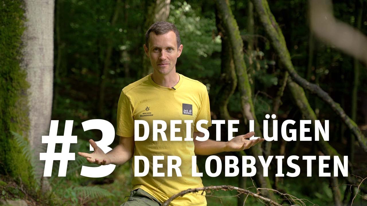 Drei dreiste Lügen der Lobbyist*innen! - Wald oder Holzacker?