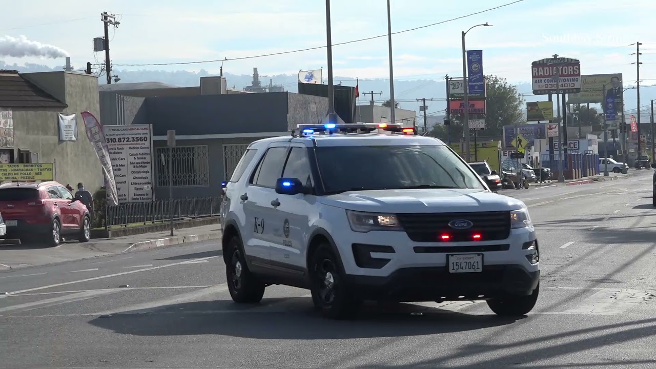 LAPD K9 & HAZMAT Responding to Harbor Division