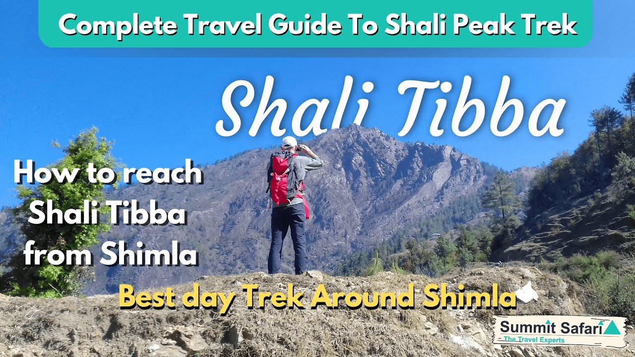 Shali Peak Trek- The Best Day Trek Around Shimla - Summit Safari India