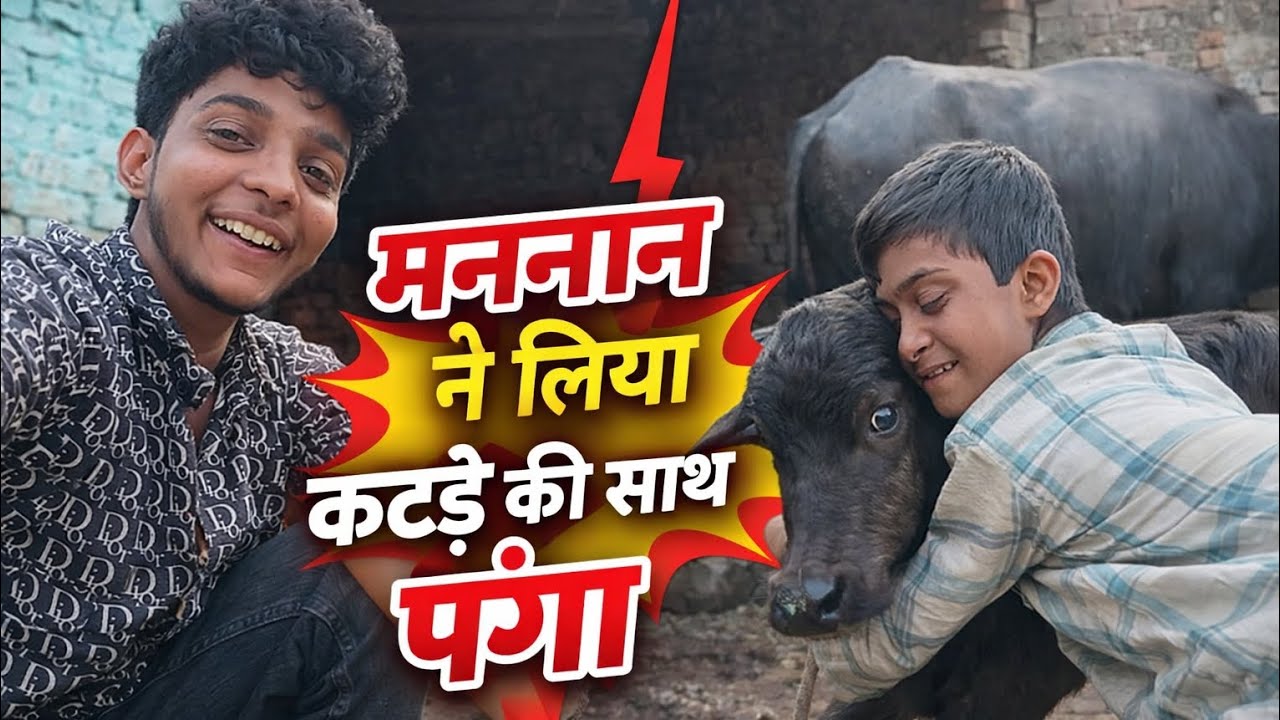 मननान ने लिया कटडे की साथ पंगा