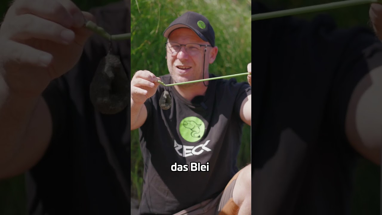 Besser mit Bungee 🎣#zeckfishing #wallerangeln #bungeerig