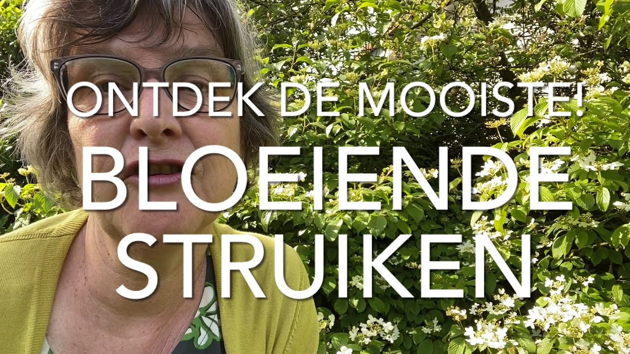 ONTDEK DE MOOISTE BLOEIENDE STRUIKEN