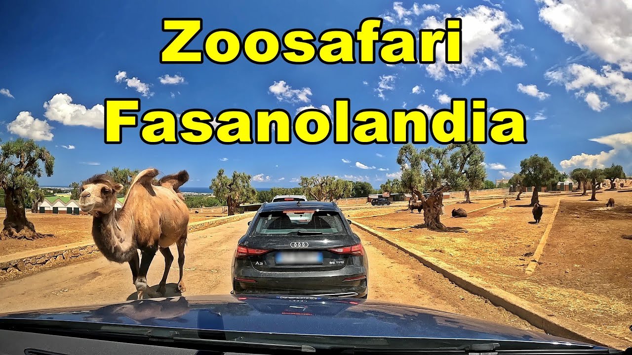 Zoosafari Fasanolandia - July 2024 - Puglia Italy