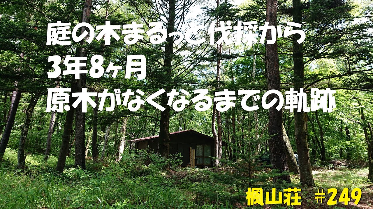 ＃２４９　庭の木まるっと伐採から3年8ヶ月、原木がなくなるまでの軌跡　／　薪に良いとされる広葉樹は少なく3分の2は針葉樹だった原木、薪ストーバーには好まれない針葉樹をどのように消費したのか…