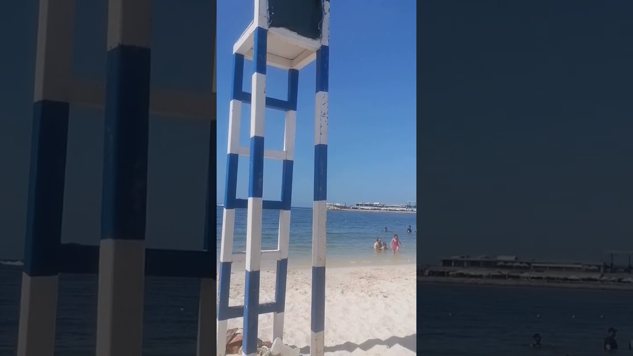 فندق توليب بالأسكندريةTulip Hotel in Alexandria