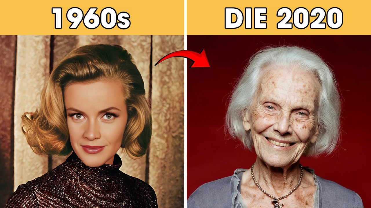 50+ Beautiful Actresses of the 1960s - 1970s Then and Now !