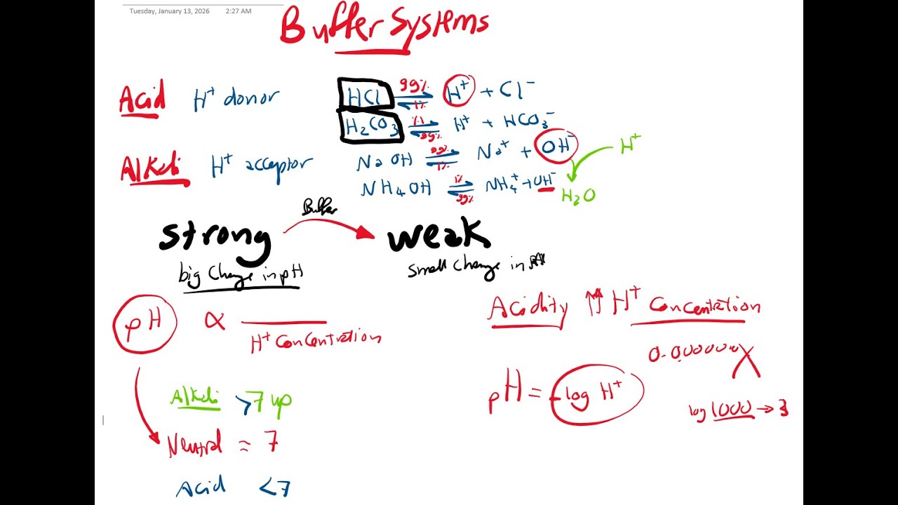 Buffer systems & Acid base disturbance