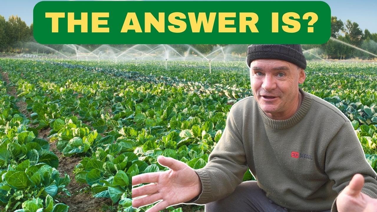 Global Fertiliser Costs Driving Inflation Whats the Solution?