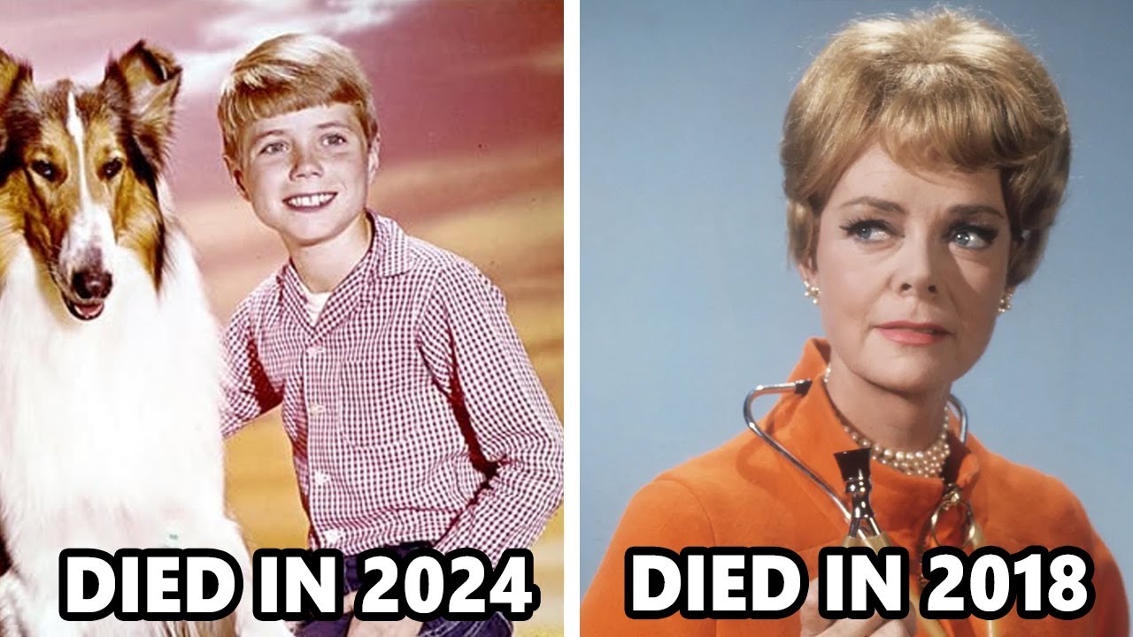 12 Lassie actors, who have passed away