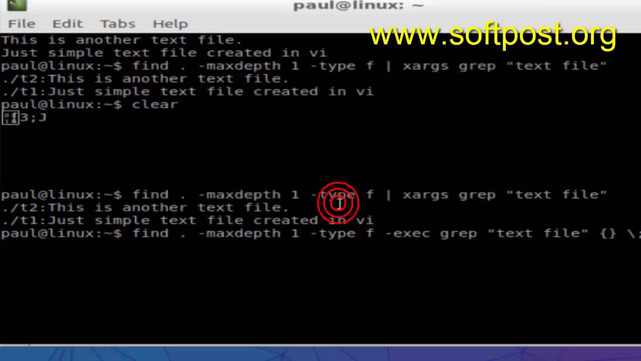 Difference between exec and xargs in Unix