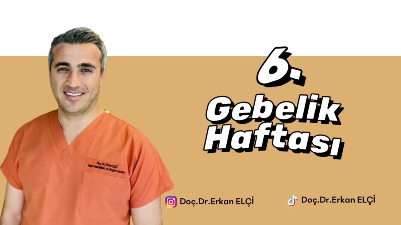 6.gebelik haftası