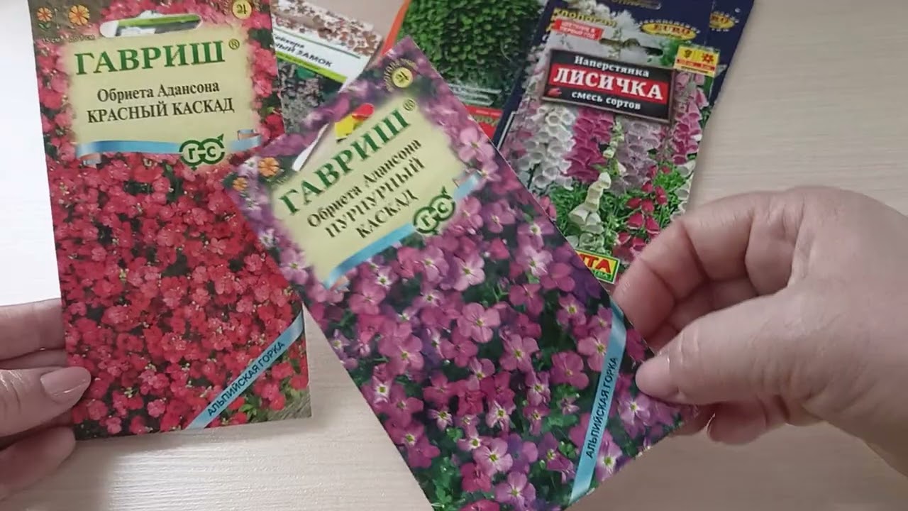 Мои планы посева на январь.18.01.2026