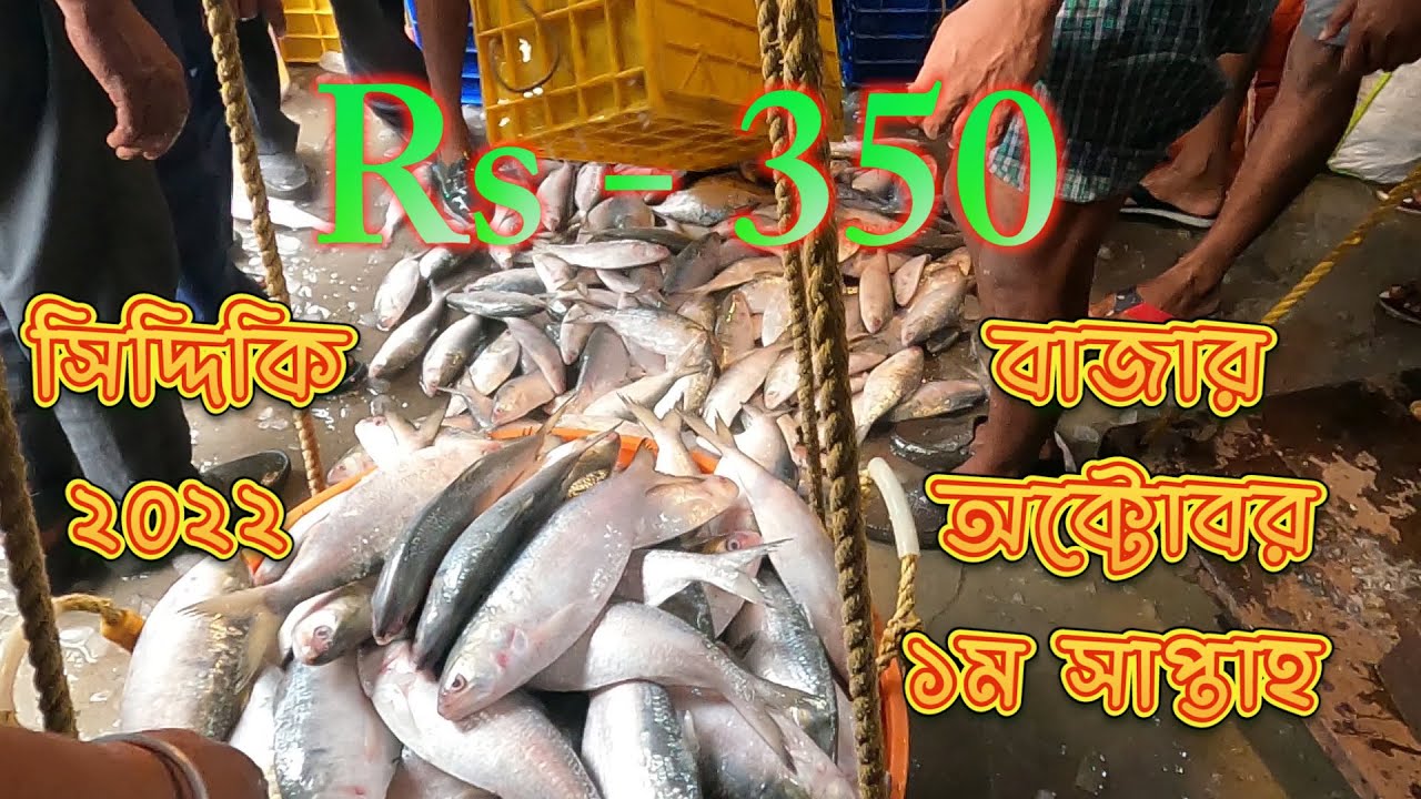 ২০২২ সালের সেপ্টেম্বর মাসের ১ম সপ্তাহে নামখান সিদ্দিকী মাছের বাজারে বিভিন্ন মাছের দাম। pomfret fish